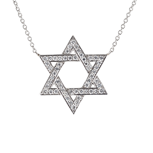 14K White Gold Diamonds David star necklace